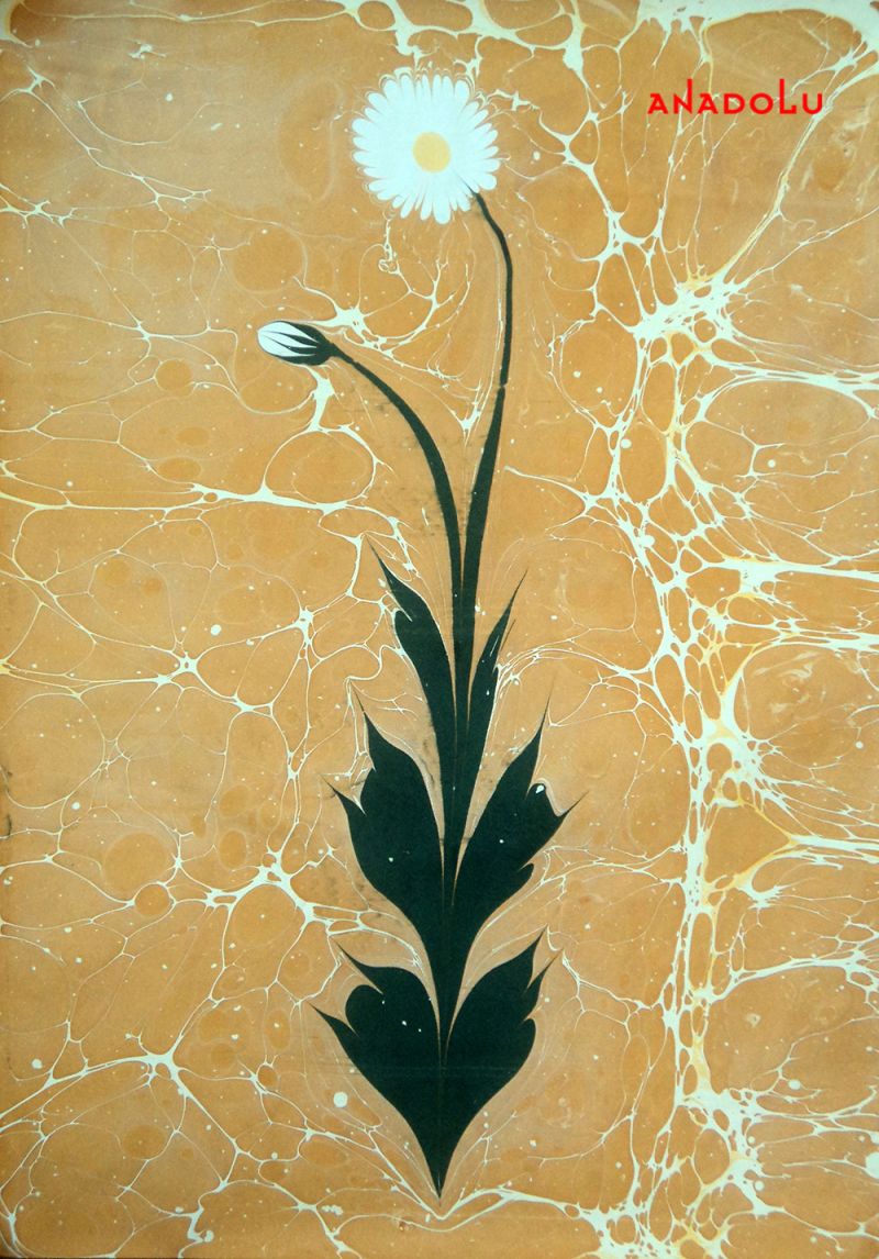 En Güzel Ebru Örnekleri Çukurovada