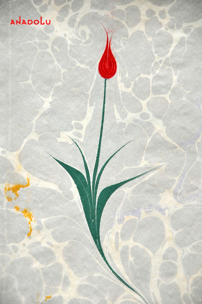 Ebru Örnekleri Çukurovada