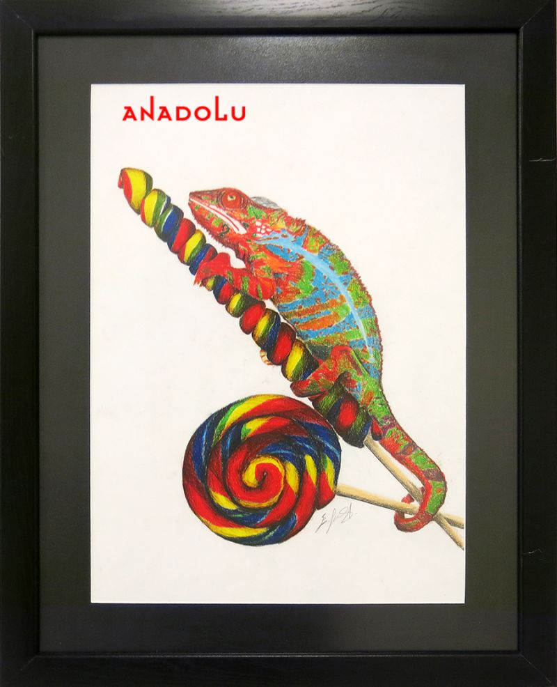 Bukalemun Çizimleri Çukurovada