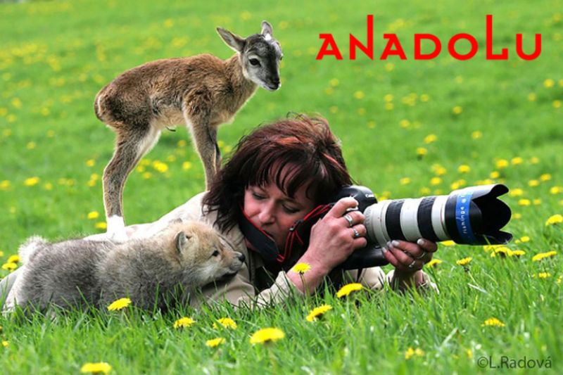 Trabzonda Doğa Fotoğrafı Çekimleri