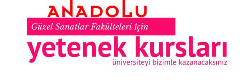 Anadolu Güzel Sanatlar Fakülteleri İçin Yetenek Kursları Çukurovada
