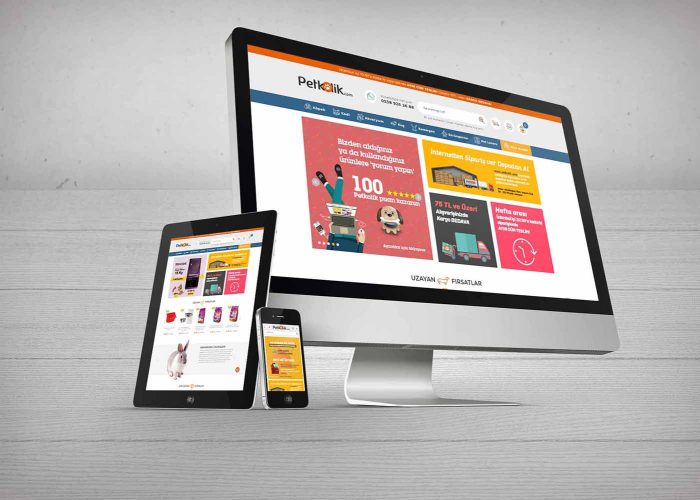 Web Tasarım Dersleri